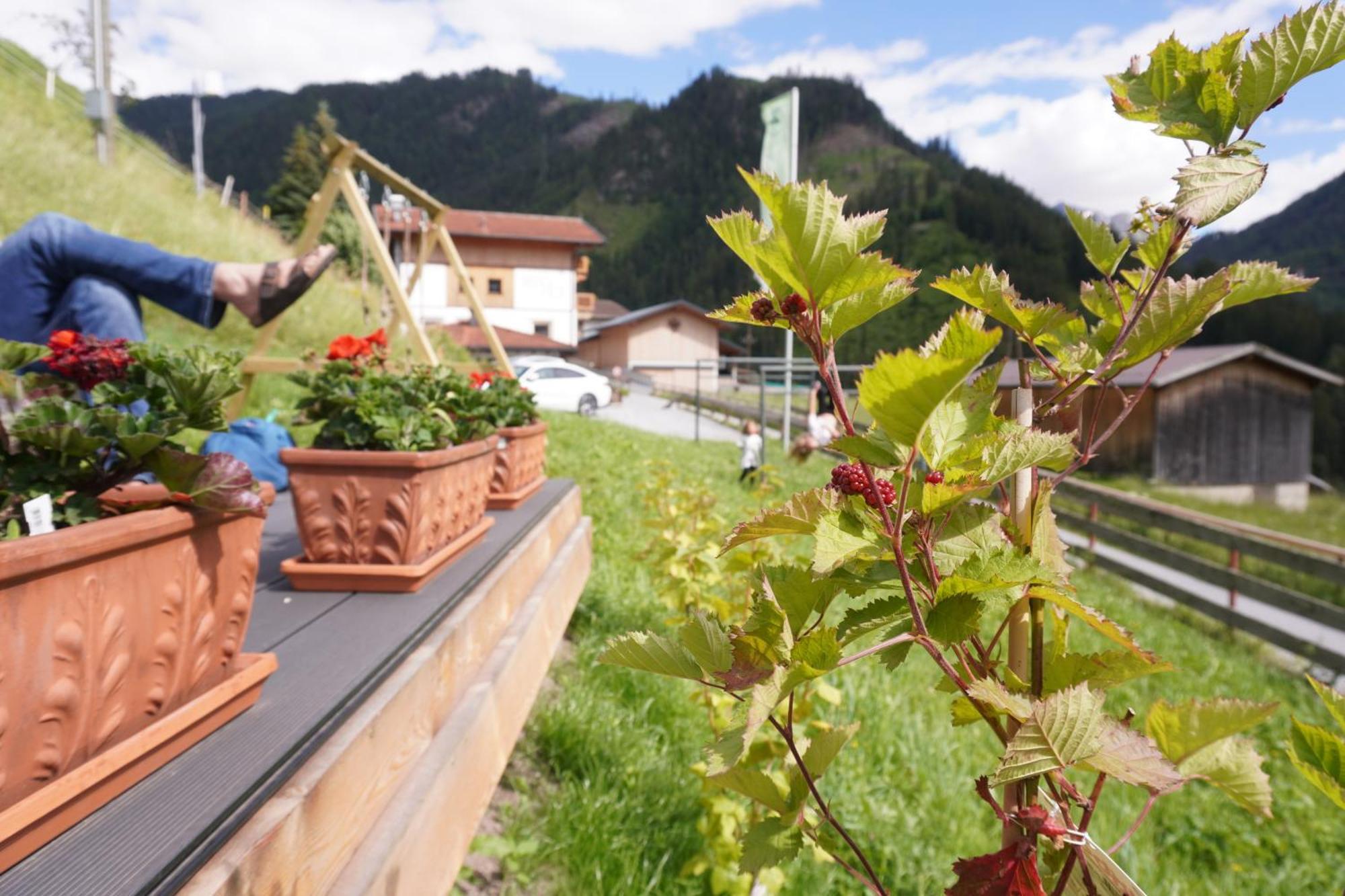 Naturhotel Berghof Пфундс Екстер'єр фото